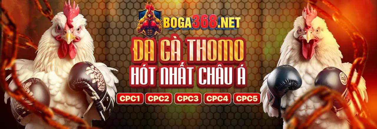 Tin tức đá gà cựa thomo mới nhất