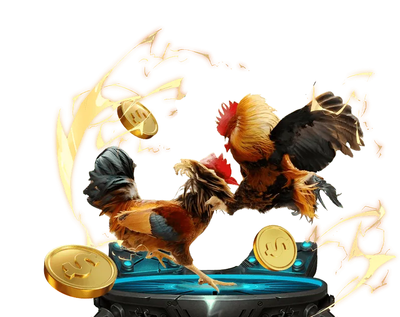 Chiến lược cá cược đá gà